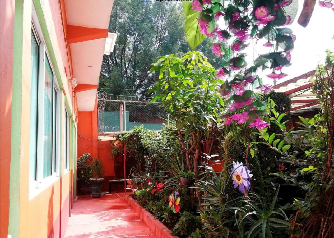 Hermoso Depa De 3 Recamaras Y 2 Banos En El Centro De Coyoacan Città del Messico