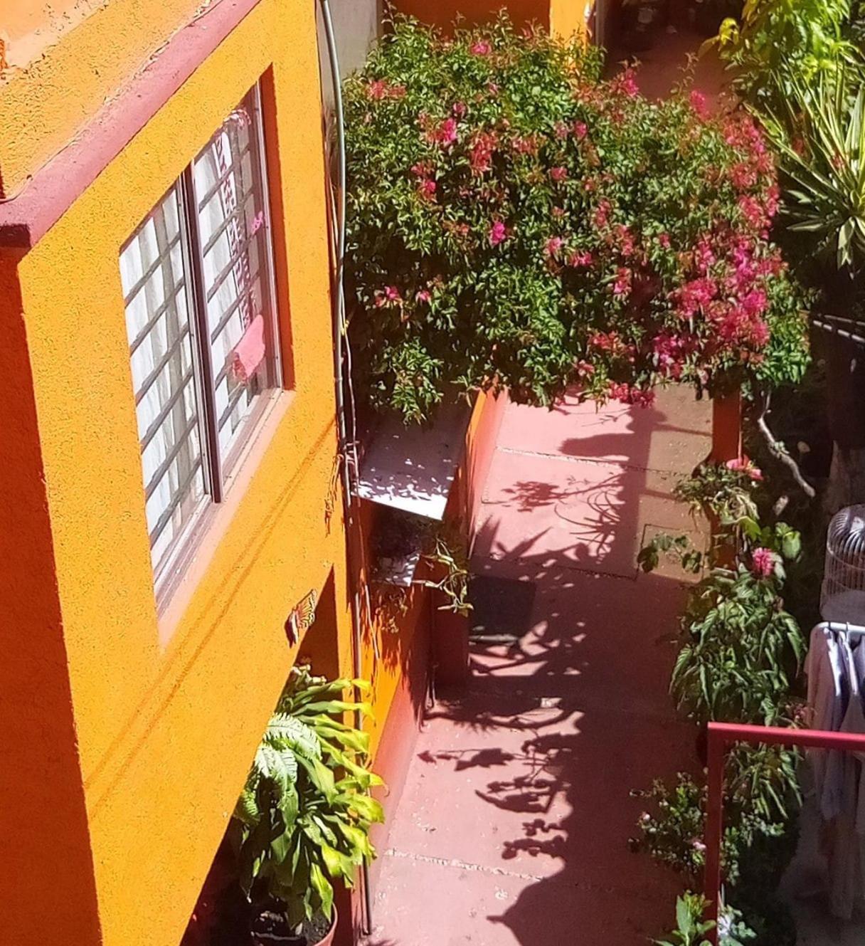 Hermoso Depa De 3 Recamaras Y 2 Banos En El Centro De Coyoacan Appartamento